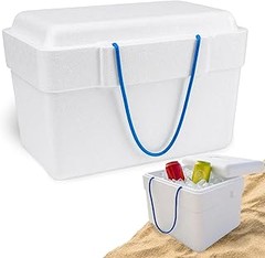 Evita estos errores al usar neveras portátiles compactas para picnic