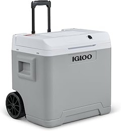Las mejores neveras portátiles eléctricas para camping en 2026