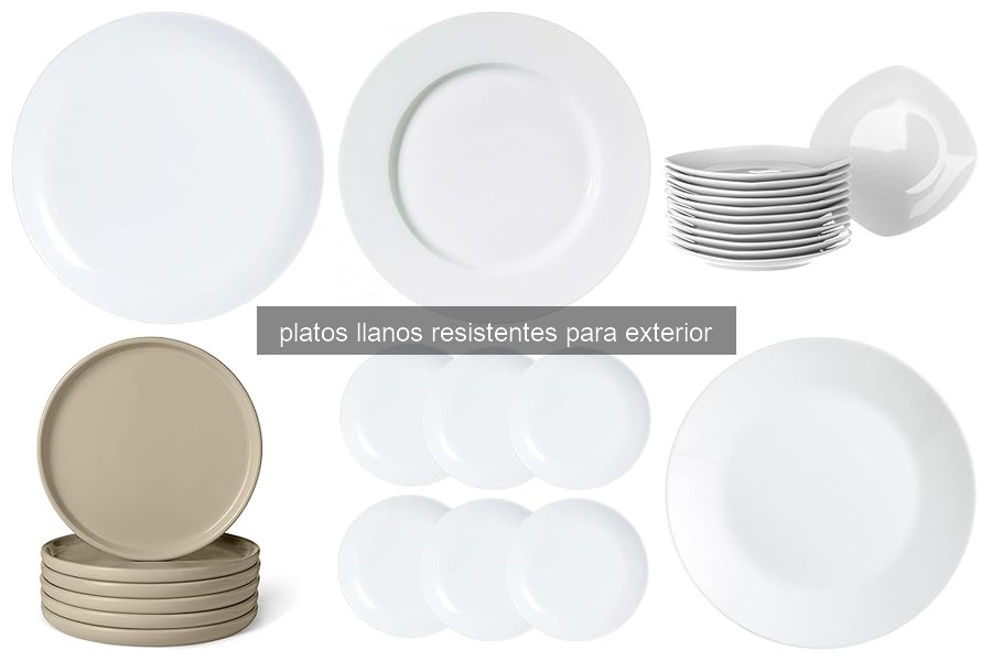 Características clave de platos llanos resistentes para exterior