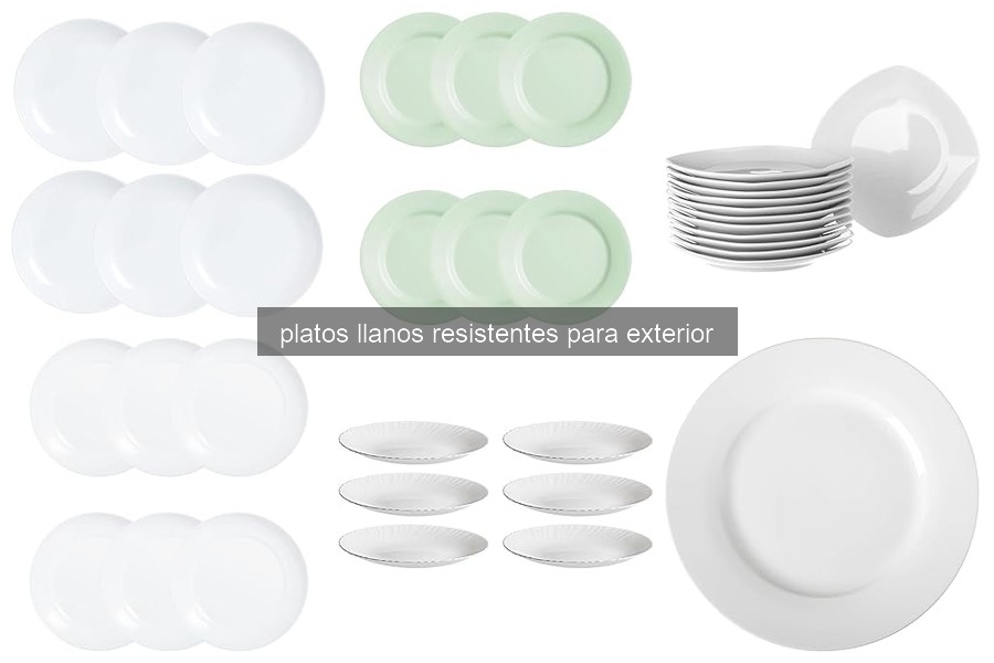 Cómo cuidar los platos llanos resistentes para exterior