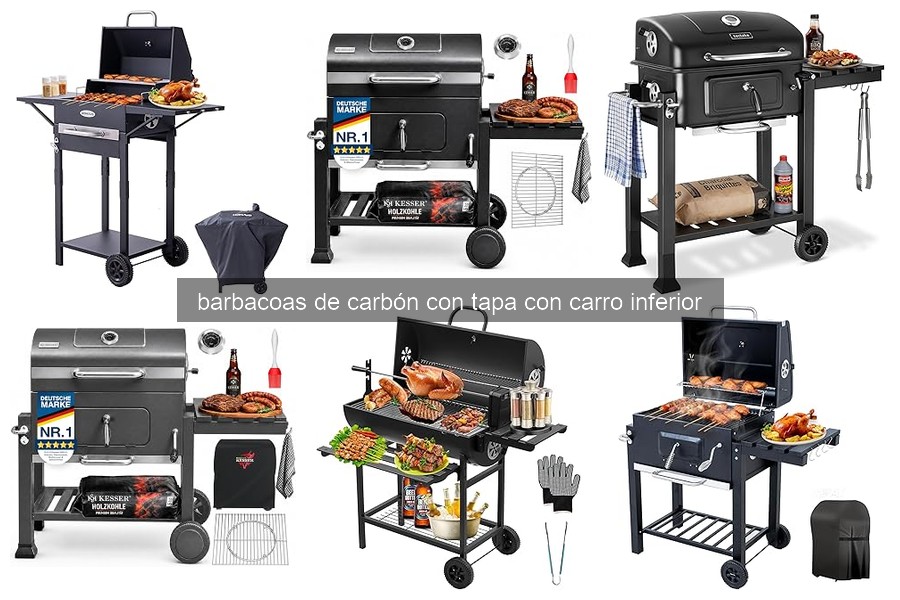 Cómo elegir la mejor barbacoa de carbón con tapa y carro