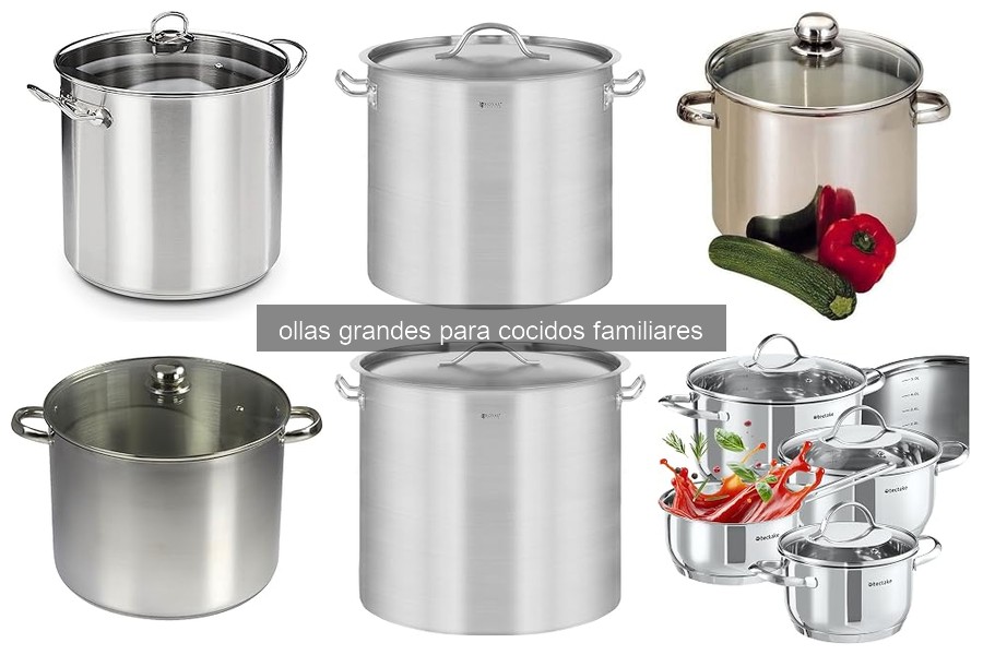 Cómo elegir la olla grande ideal para cocidos familiares