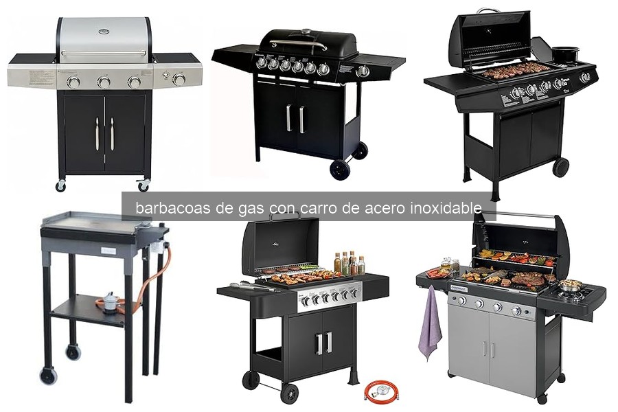 Cómo elegir una barbacoa de gas con carro de acero inoxidable