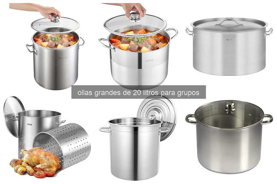 Cómo elegir una olla grande de 20 litros para grupos