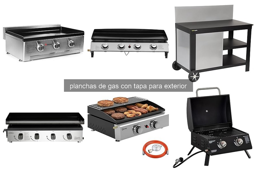 Cómo elegir una plancha de gas con tapa para exterior