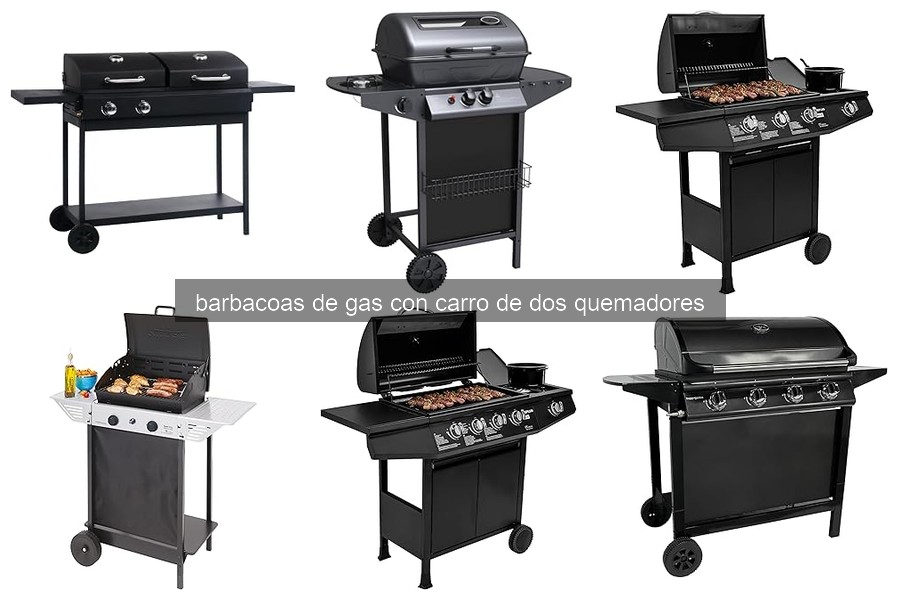 Cómo limpiar y mantener tu barbacoa de gas con carro de 2 quemadores