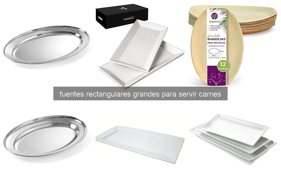 Diferentes Tipos de Fuentes Rectangulares para Servir Carnes