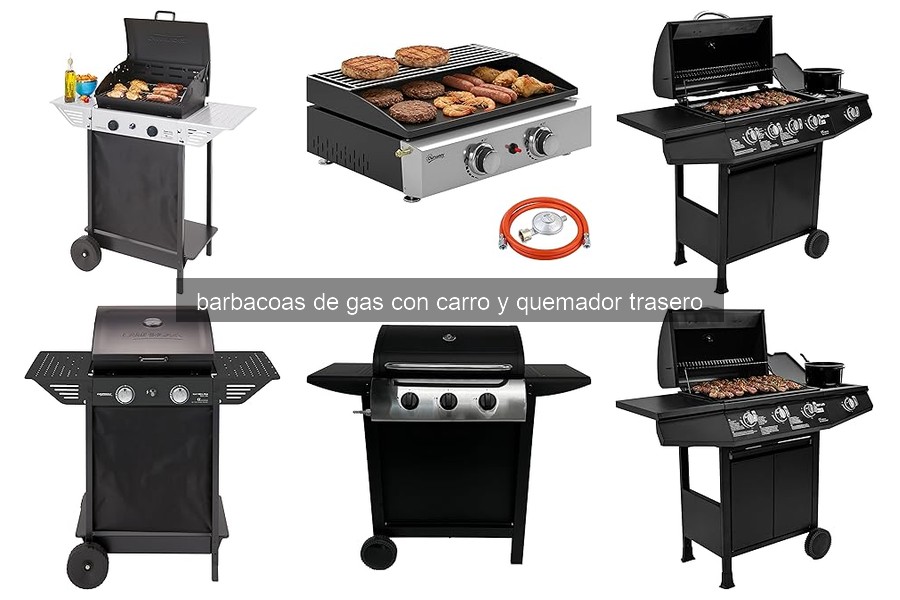 Errores comunes al usar barbacoas de gas con carro y quemador