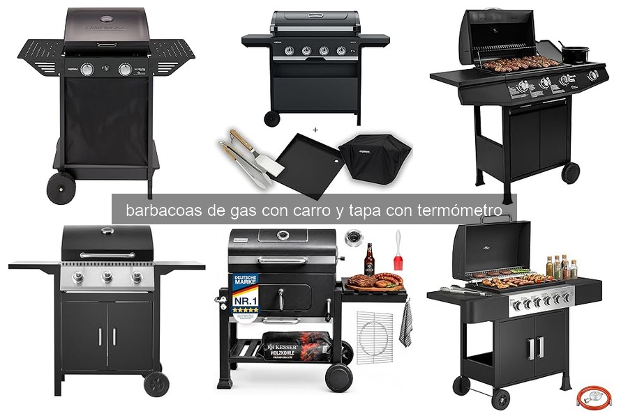 Errores comunes al usar barbacoas de gas con carro y tapa