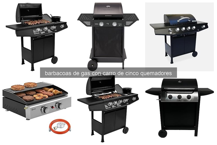 Guía de compra: Barbacoas de gas con carro de 5 quemadores
