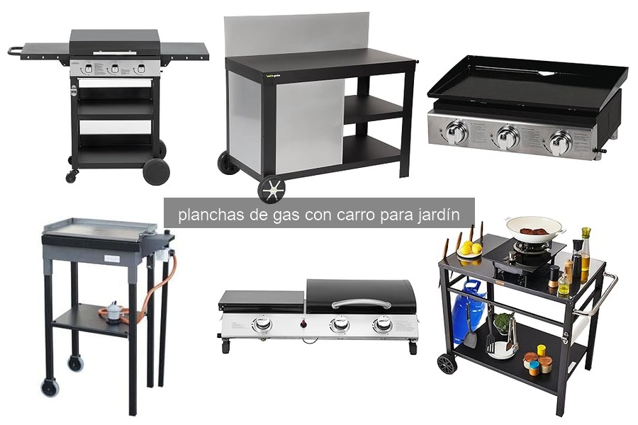 Guía de compra de planchas de gas con carro para jardín