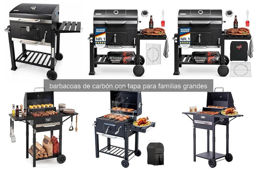 ** Guía para elegir la mejor barbacoa de carbón con tapa grande