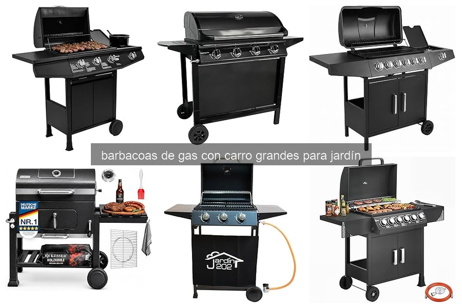 Guía para elegir la mejor barbacoa de gas con carro grande
