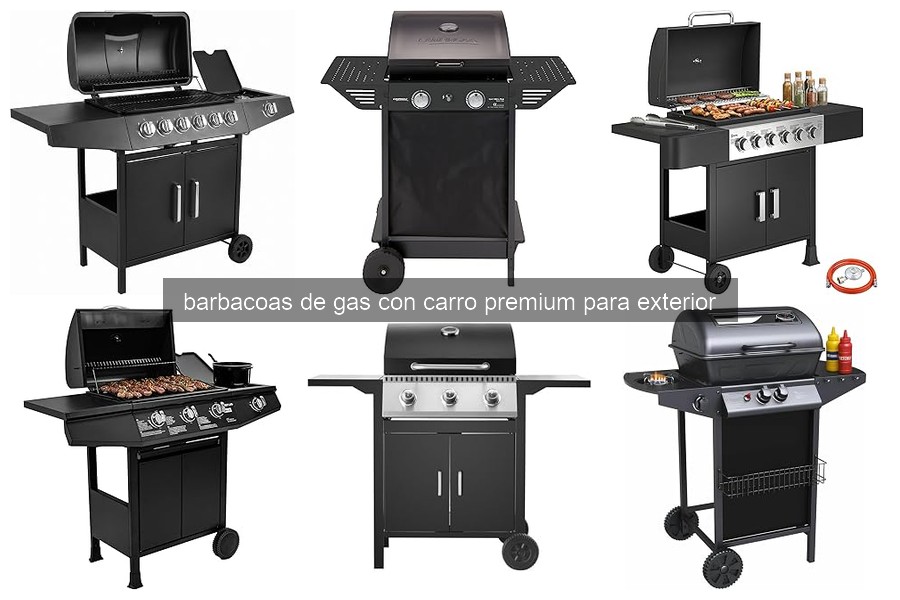 Guía para elegir la mejor barbacoa de gas con carro premium