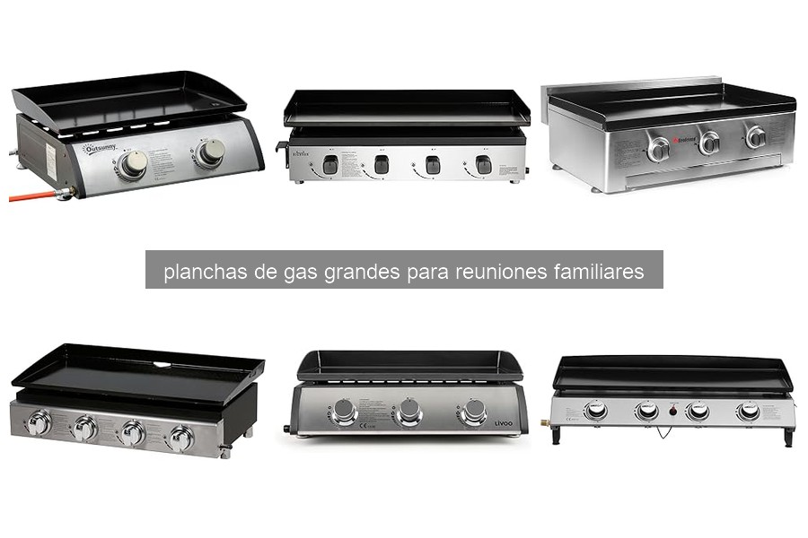 Guía para Elegir la Mejor Plancha de Gas Grande para Reuniones