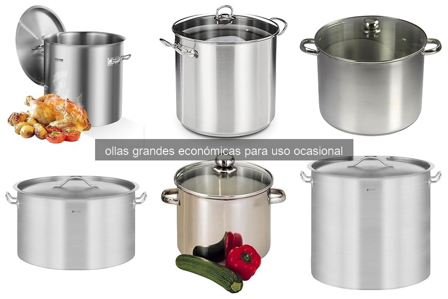 Guía para Elegir Ollas Grandes Económicas para Reuniones