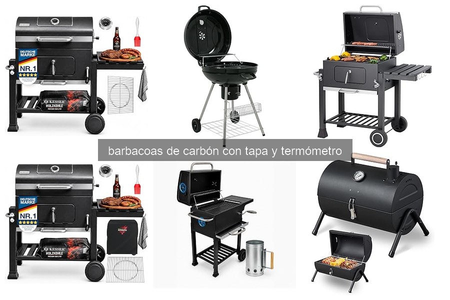 Mejores Barbacoas de Carbón con Tapa y Termómetro en 2026