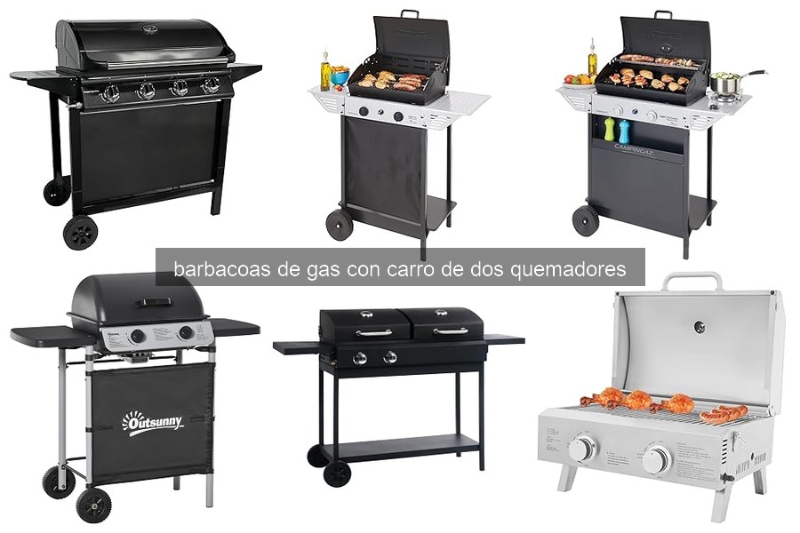 Mejores barbacoas de gas con carro de 2 quemadores en 2026