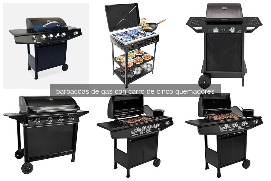 Mejores barbacoas de gas con carro de cinco quemadores 2026