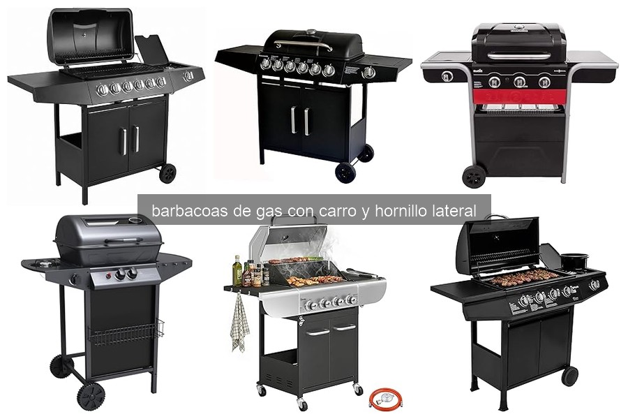 Mejores barbacoas de gas con carro y hornillo lateral 2026