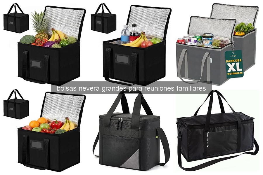 Mejores bolsas nevera grandes para reuniones al aire libre