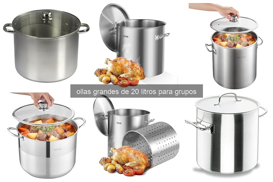 Mejores ollas grandes de 20 litros para cocinar para grupos