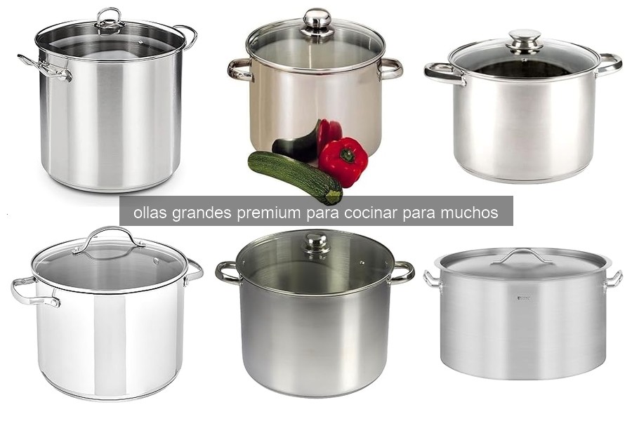 Mejores ollas grandes premium para cocinar para muchos