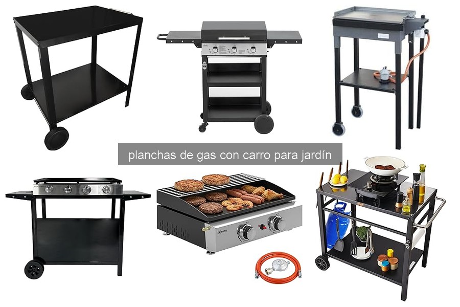 Mejores planchas de gas con carro para jardín en 2023