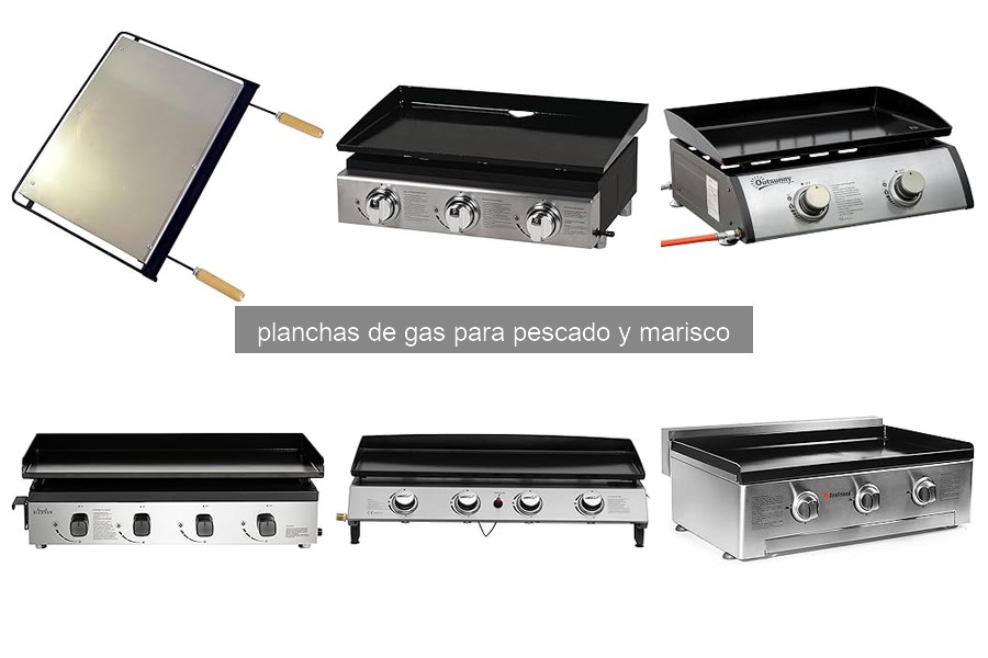 Mejores planchas de gas para cocinar pescado y marisco 2023