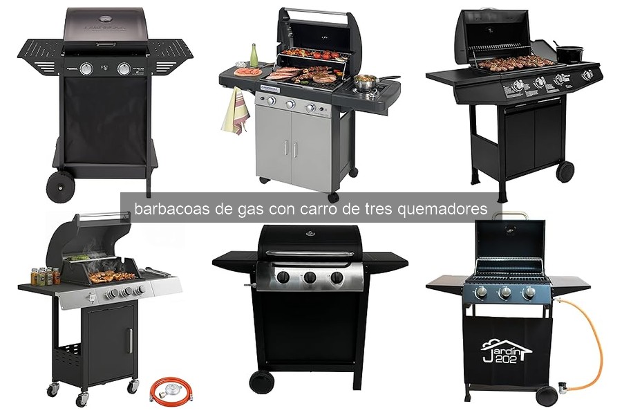 Mejores recetas para barbacoas de gas con carro de tres quemadores