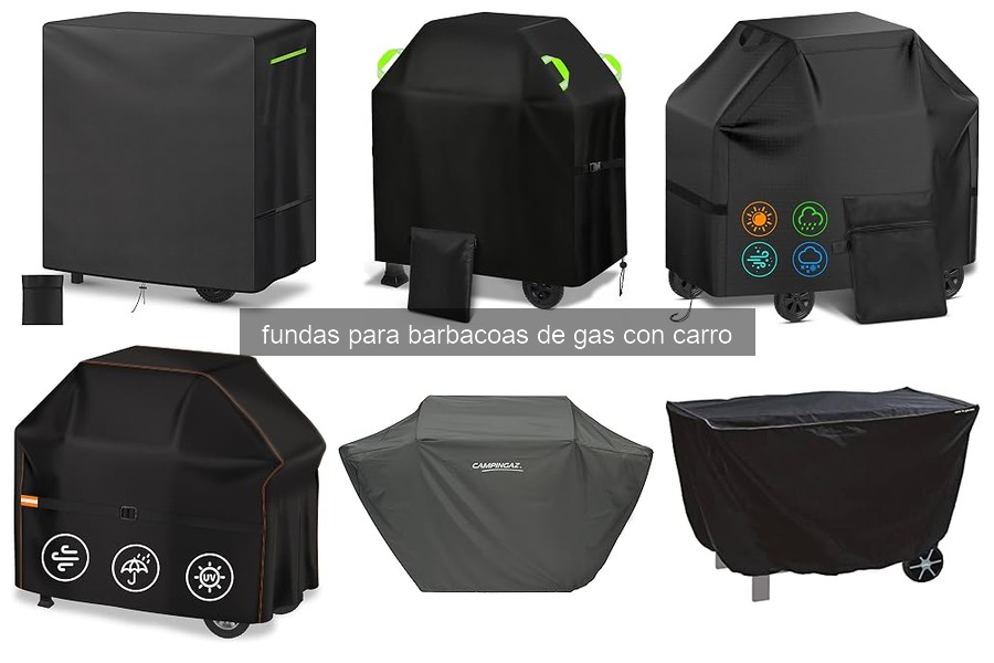 Problemas Comunes con Fundas para Barbacoas de Gas