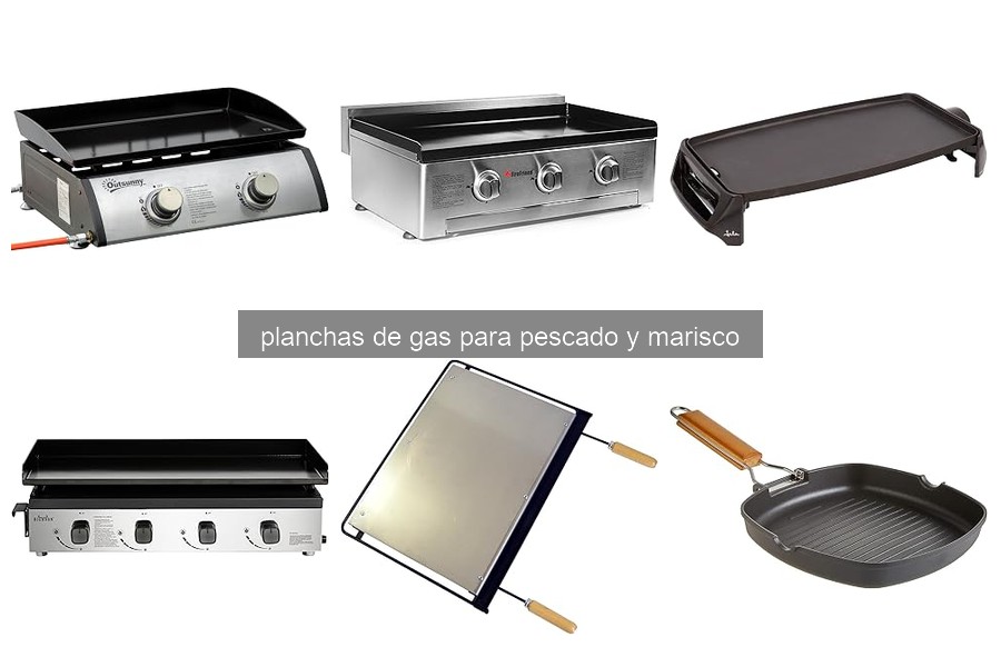 Problemas comunes con planchas de gas para pescado y marisco