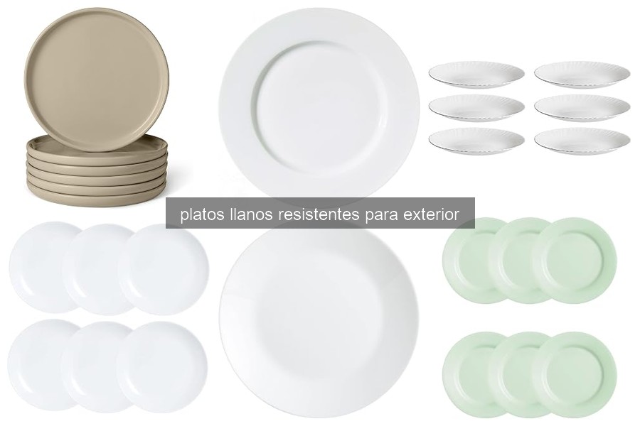 Problemas Comunes con Platos Llanos para Exterior y Soluciones