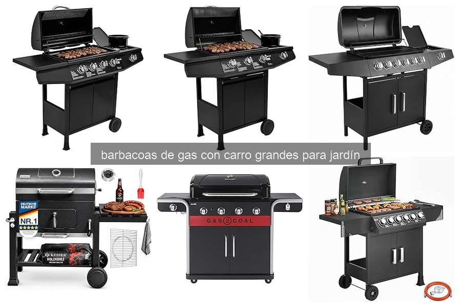 Problemas Comunes de Barbacoas de Gas con Carro y Soluciones