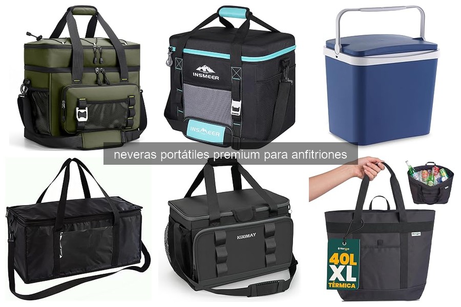 Problemas comunes de neveras portátiles premium y soluciones