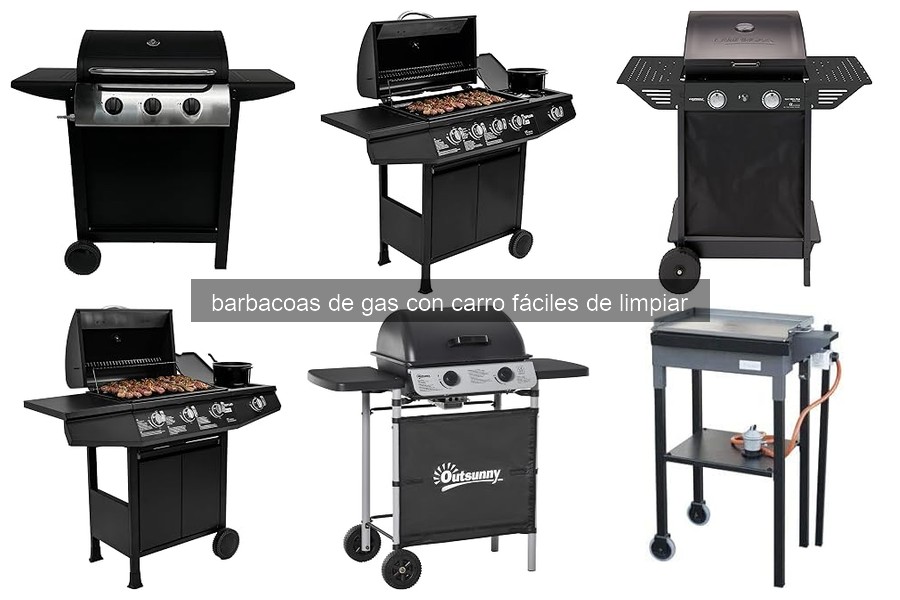 Problemas Comunes en Barbacoas de Gas con Carro y Soluciones
