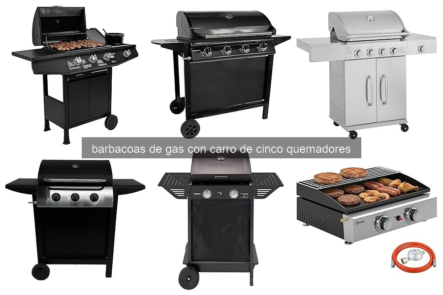 Problemas comunes en barbacoas de gas de cinco quemadores