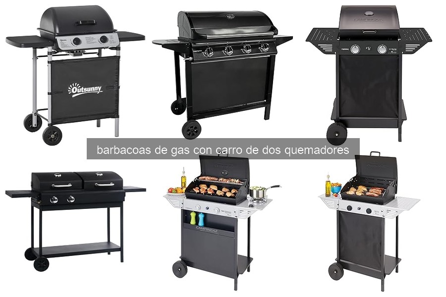 ¿Qué es una barbacoa de gas con carro de dos quemadores?