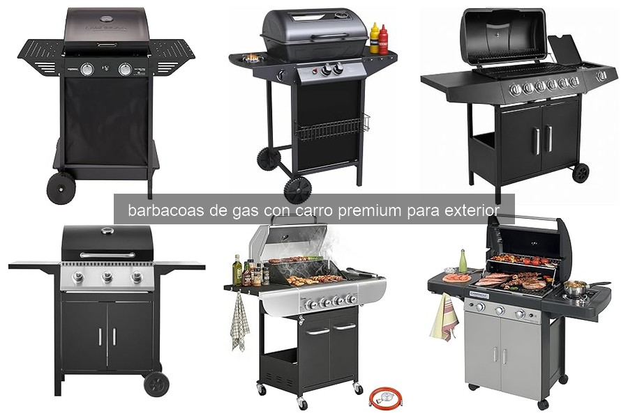 ¿Qué es una barbacoa de gas con carro premium?