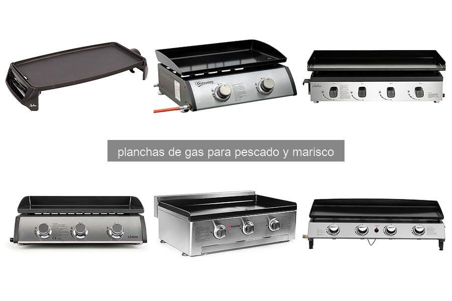¿Qué es una plancha de gas para pescado y marisco?
