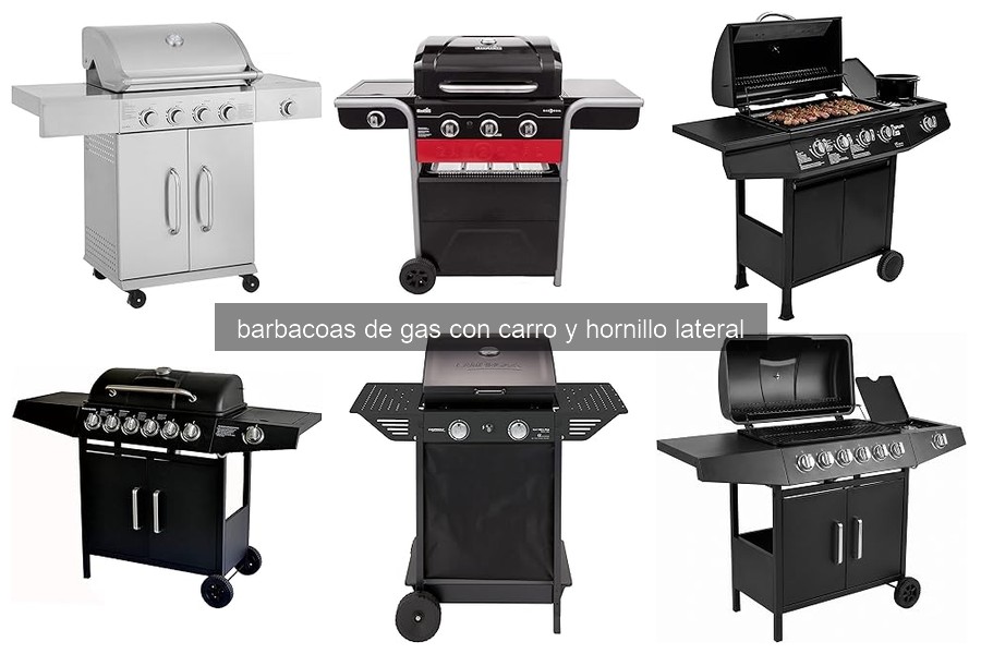 ¿Qué son las barbacoas de gas con carro y hornillo lateral?