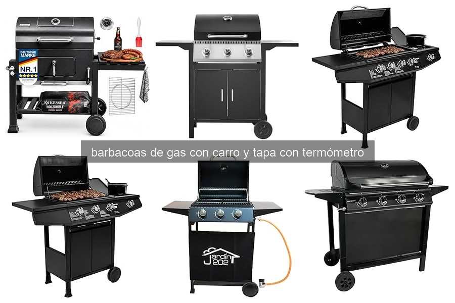 ¿Qué son las barbacoas de gas con carro y tapa con termómetro?