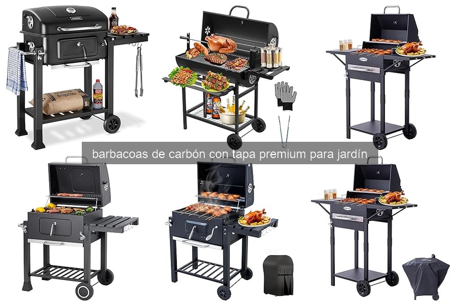 Soluciones a Problemas Comunes de Barbacoas de Carbón con Tapa