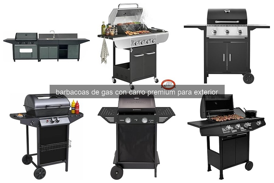 Soluciones a Problemas Comunes en Barbacoas de Gas Premium