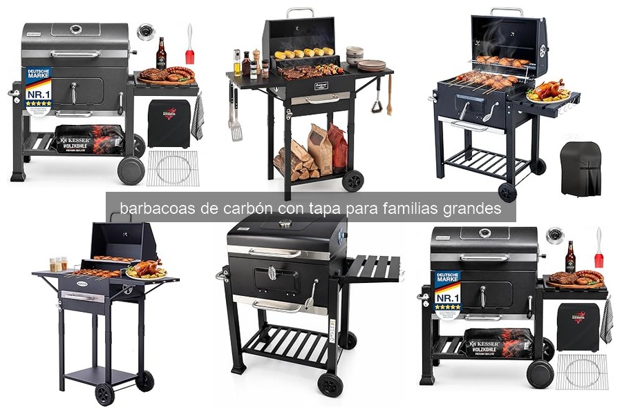 Ventajas de las Barbacoas de Carbón con Tapa para Familias