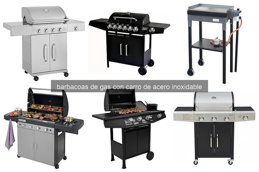 Ventajas de las Barbacoas de Gas con Carro de Acero Inoxidable